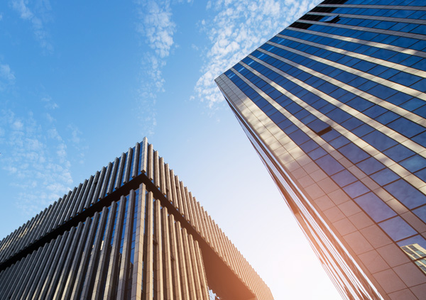 干鸡粪块、肇东干鸡粪块、鸡粪有机肥、鸡粪有机肥、鸡粪、发酵鸡粪、稻壳鸡粪销售、干鸡粪、干鸡粪块。
